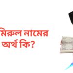 আমিরুল নামের অর্থ কি