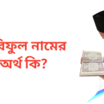 আরিফুল নামের অর্থ কি