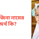 তানজিনা নামের অর্থ কি
