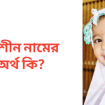 নওশীন নামের অর্থ কি