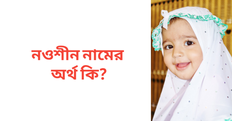 নওশীন নামের অর্থ কি