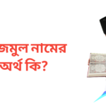 নাজমুল নামের অর্থ কি