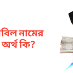 নাবিল নামের অর্থ কি