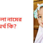 নাবিলা নামের অর্থ কি