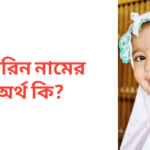 নাসরিন নামের অর্থ কি