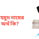 মাহমুদ নামের অর্থ কি