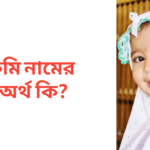 রুমি নামের অর্থ কি