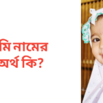 সুমি নামের অর্থ কি
