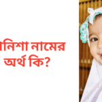 আনিশা নামের অর্থ কি