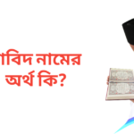 নাবিদ নামের অর্থ কি