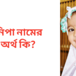 নিপা নামের অর্থ কি