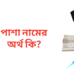 পাশা নামের অর্থ কি