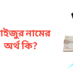 ফাইজুর নামের অর্থ কি