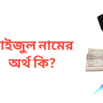 ফাইজুল নামের অর্থ কি