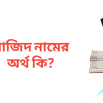 মাজিদ নামের অর্থ কি