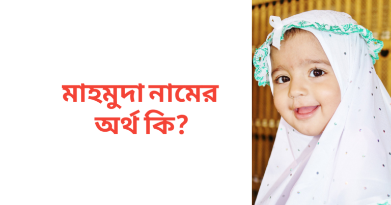 মাহমুদা নামের অর্থ কি