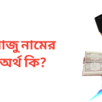 রাজু নামের অর্থ কি
