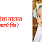রিয়া নামের অর্থ কি