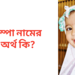 শম্পা নামের অর্থ কি