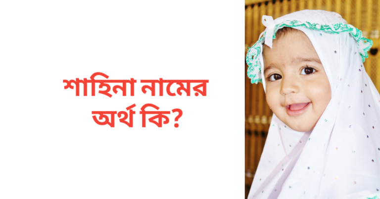 শাহিনা নামের অর্থ কি