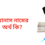 আনাস নামের অর্থ কি