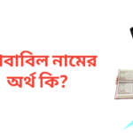 আবাবিল নামের অর্থ কি
