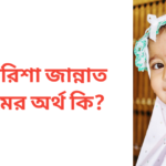 আরিশা জান্নাত নামের অর্থ কি