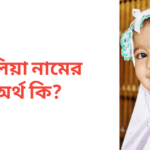 ইলিয়া নামের অর্থ কি