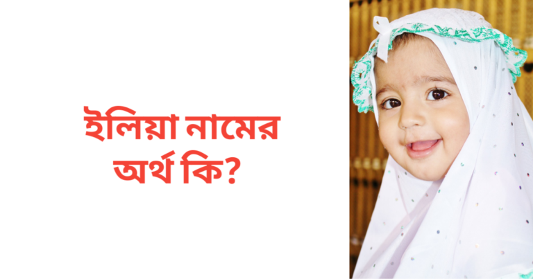 ইলিয়া নামের অর্থ কি