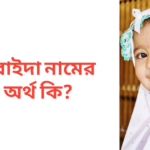 উবাইদা নামের অর্থ কি