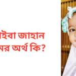 নুসাইবা জাহান নামের অর্থ কি