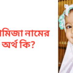 রামিজা নামের অর্থ কি