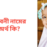 লাবনী নামের অর্থ কি