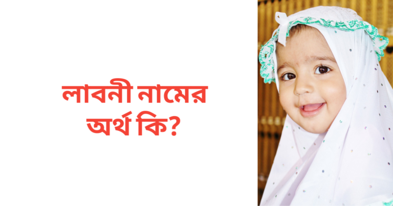 লাবনী নামের অর্থ কি