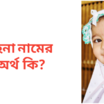 হেনা নামের অর্থ কি | হেনা নামের মেয়েরা কেমন হয়