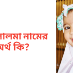 উম্মে সালমা নামের অর্থ কি | উম্মে সালমা নামের মেয়েরা কেমন হয়