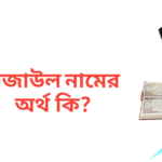 রেজাউল নামের অর্থ কি | রেজাউল নামের ছেলেরা কেমন হয়