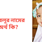 সামির নামের অর্থ কি | সামির নামের ছেলেরা কেমন হয়