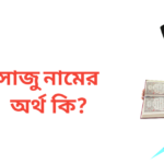 সাজু নামের অর্থ কি | সাজু নামের ছেলেরা কেমন হয়