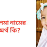 সালমা নামের অর্থ কি | সালমা নামের মেয়েরা কেমন হয়
