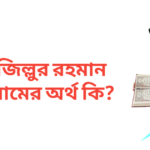জিল্লুর রহমান নামের অর্থ কি | জিল্লুর রহমান নামের ছেলেরা কেমন হয়
