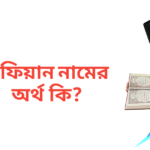 নাফিয়ান নামের অর্থ কি | নাফিয়ান নামের ছেলেরা কেমন হয়