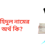 শাহিদুল নামের অর্থ কি | শাহিদুল নামের ছেলেরা কেমন হয়
