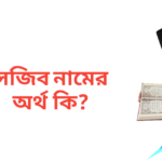 সজিব নামের অর্থ কি | সজিব নামের ছেলেরা কেমন হয়