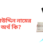 সালাউদ্দিন নামের অর্থ কি | সালাউদ্দিন নামের ছেলেরা কেমন হয়