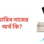 আরিব নামের অর্থ কি | আরিব নামের ছেলেরা কেমন হয়