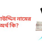 আলাউদ্দিন নামের অর্থ কি | আলাউদ্দিন নামের ছেলেরা কেমন হয়