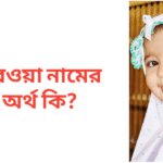উরওয়া নামের অর্থ কি | উরওয়া নামের মেয়েরা কেমন হয়