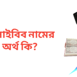 জুলাইবিব নামের অর্থ কি | জুলাইবিব নামের ছেলেরা কেমন হয়