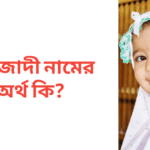 শাহজাদী নামের অর্থ কি | শাহজাদী নামের মেয়েরা কেমন হয়